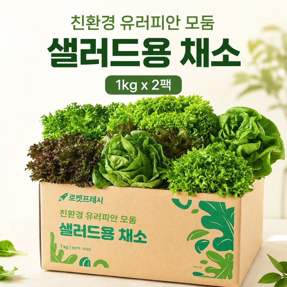 친환경 유러피안 모둠 샐러드 채소 1kg×2팩, 국내산 구성과 구매 전 확인할 점 제품 이미지